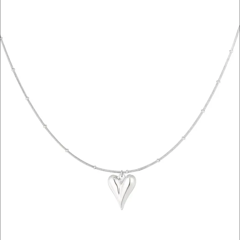 Iconic Heart Necklace - Zilver